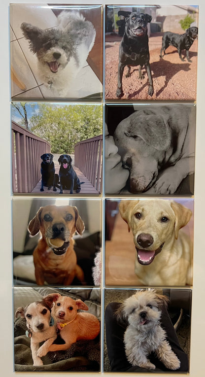 3x3 Custom Photo Magnet (set of 4)