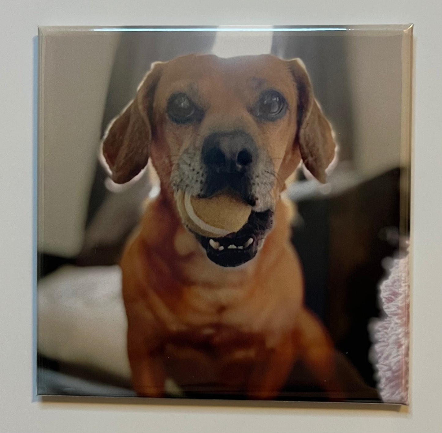 3x3 Custom Photo Magnet (set of 4)