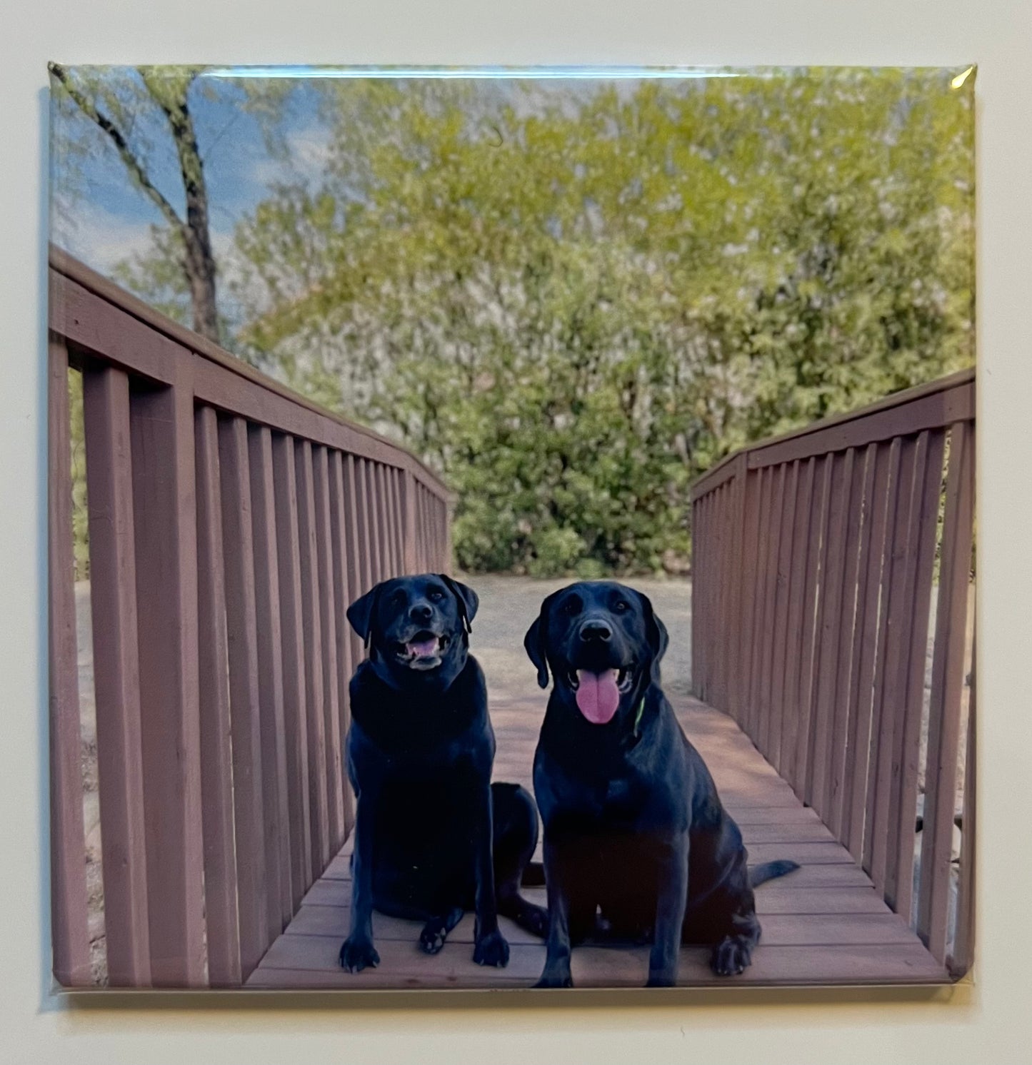 3x3 Custom Photo Magnet (set of 4)